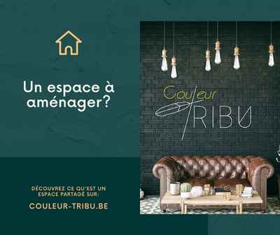 Couleur TRIBU - Décorateur d'intérieur